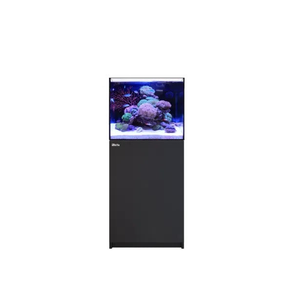 REEFER MAX 170 G3 (33 Gallon) - Drop Ship