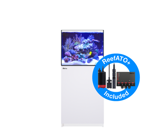REEFER 200 G2+ (42 Gallon)