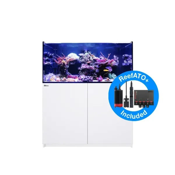 REEFER 350 G2+ (72 Gallon) - Drop Ship