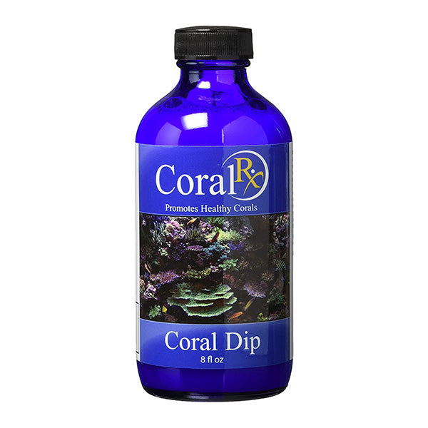 Coral Rx Coral Dip