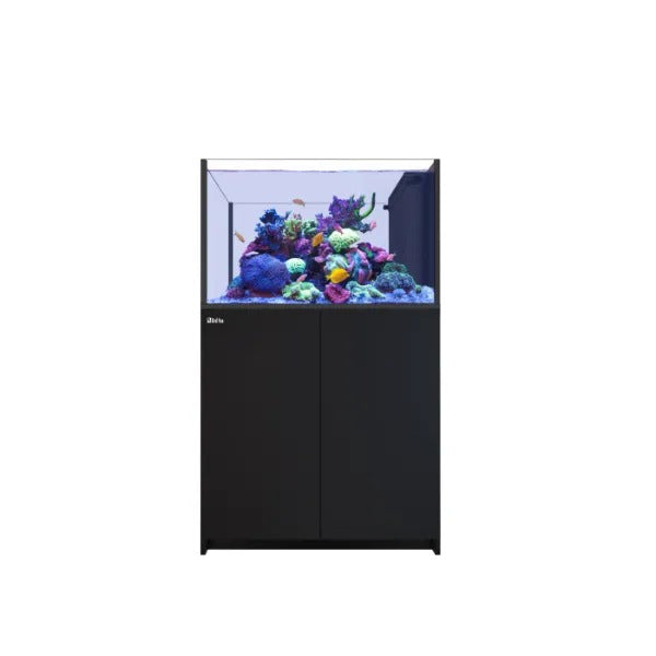 REEFER Peninsula 350 G2+ (73 Gallon) - Drop Ship