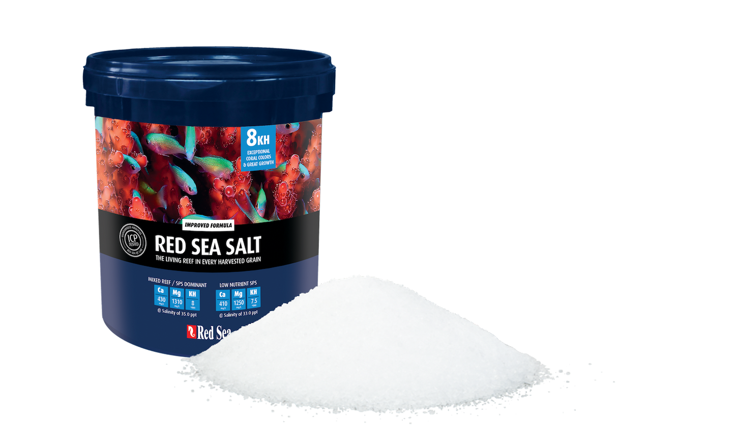 Red Sea Salt