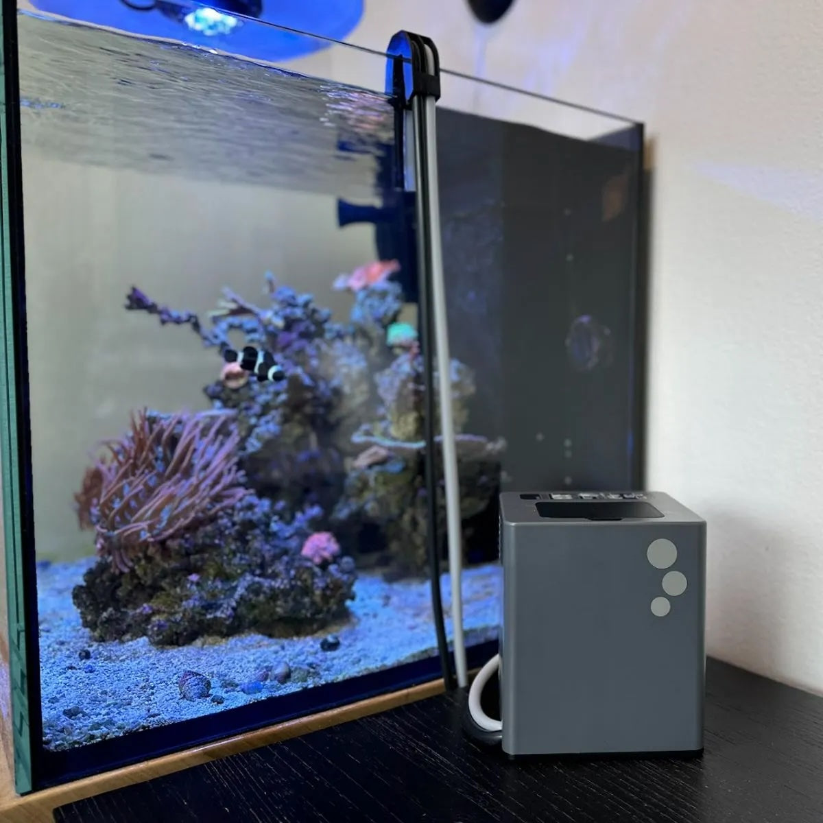 aF4 Automated Frozen Fish Food Feeder