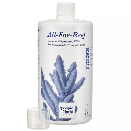 All-For-Reef
