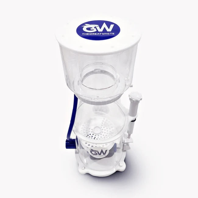 Great White Skimmer DC