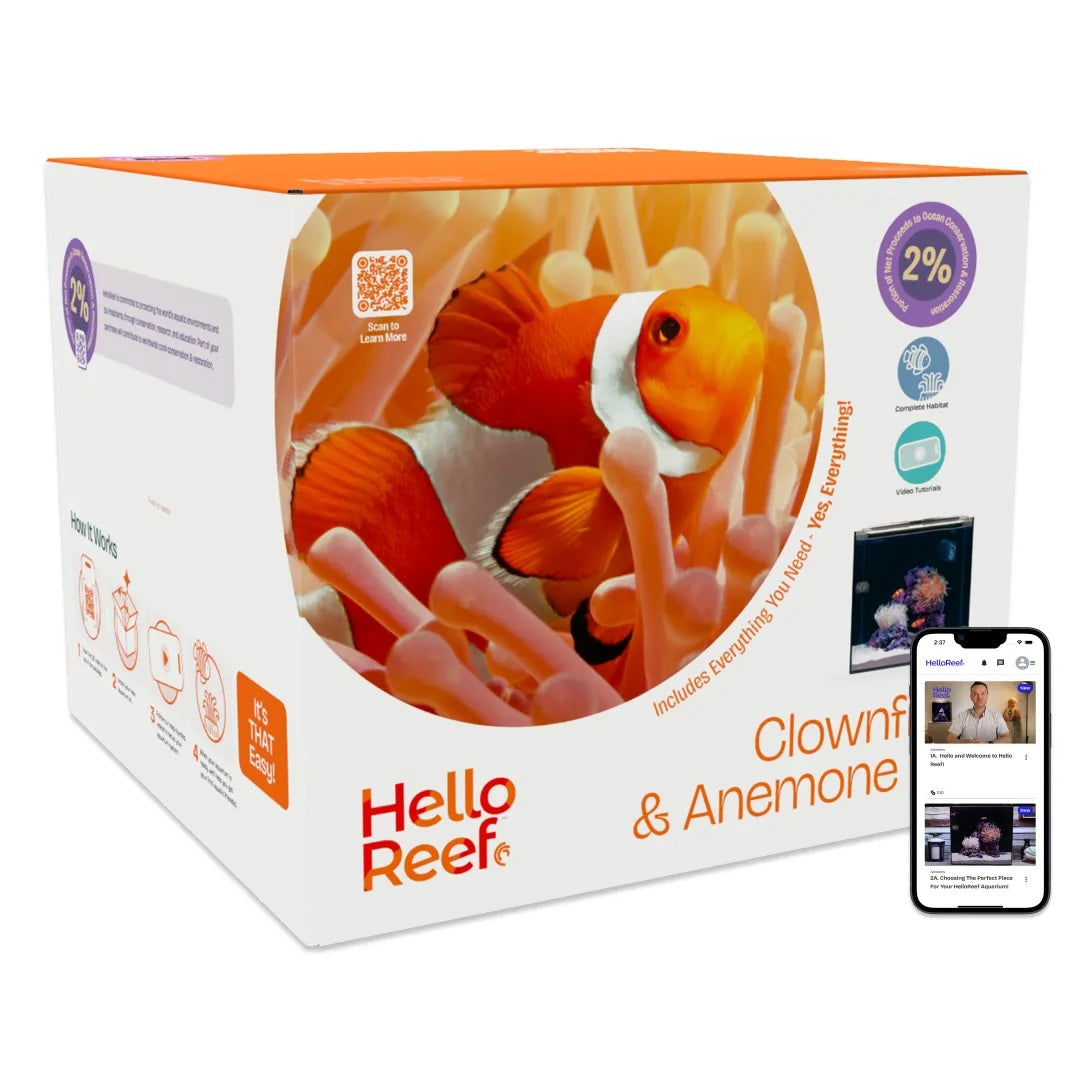 Clownfish and Anemone Kit
