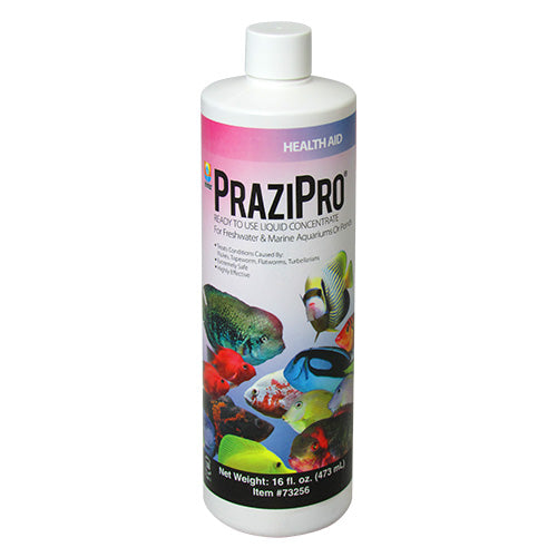 Prazi Pro - 16 oz.