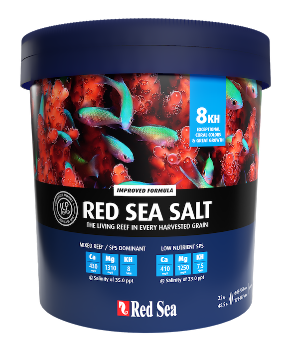 Red Sea Salt