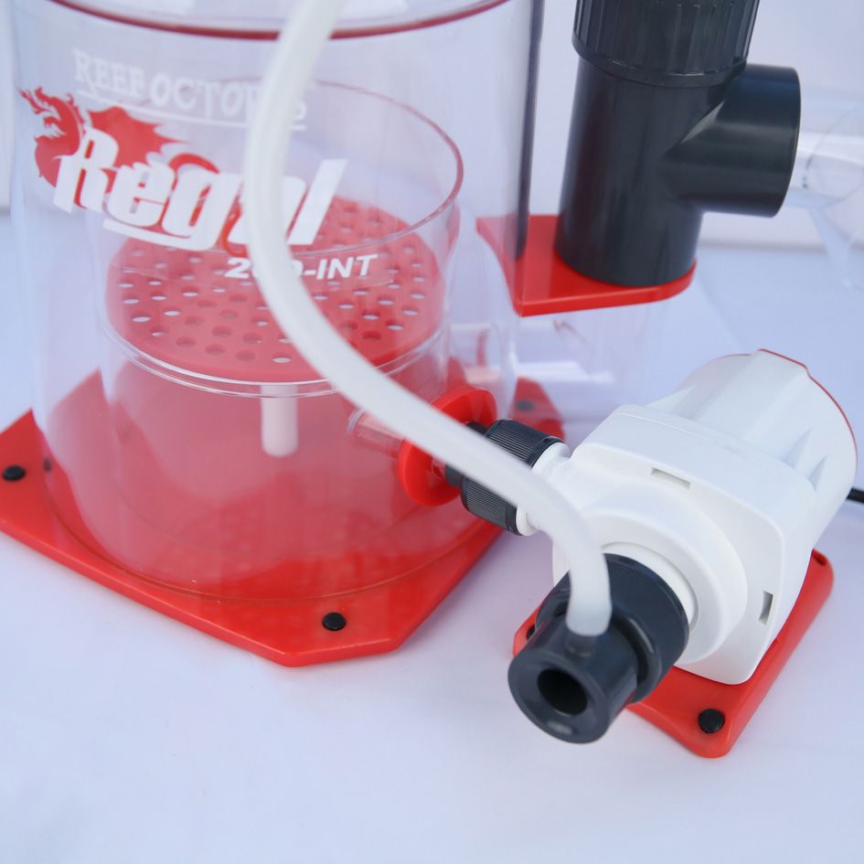 Regal 200INT Protein Skimmer