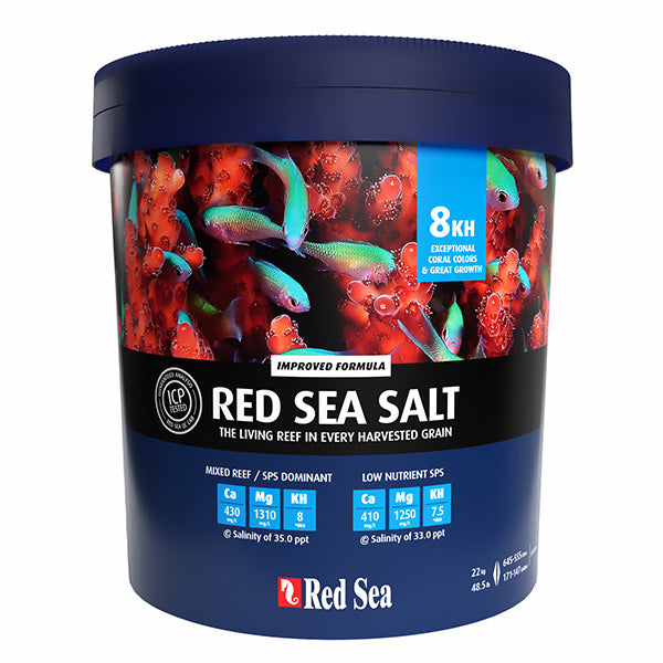Salt