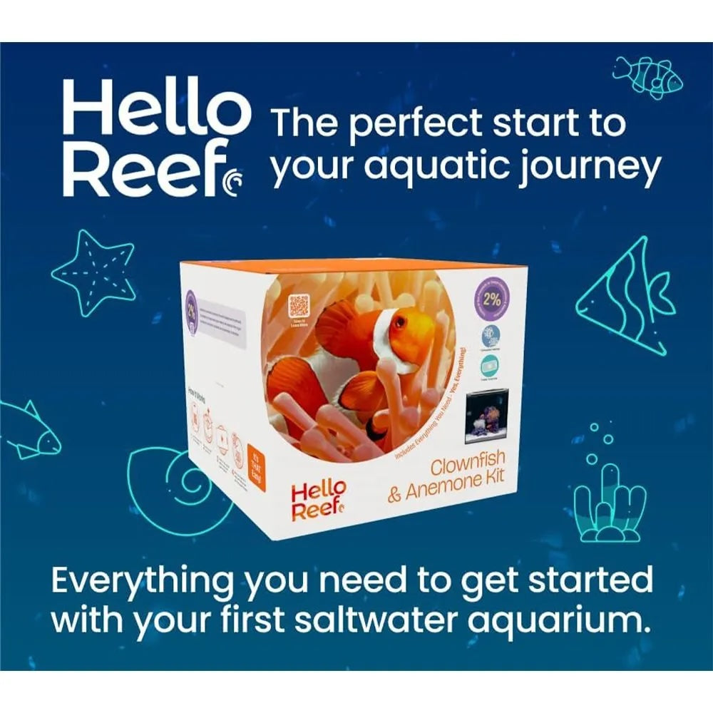 Clownfish and Anemone Kit