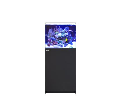 REEFER 200 G2+ (42 Gallon)