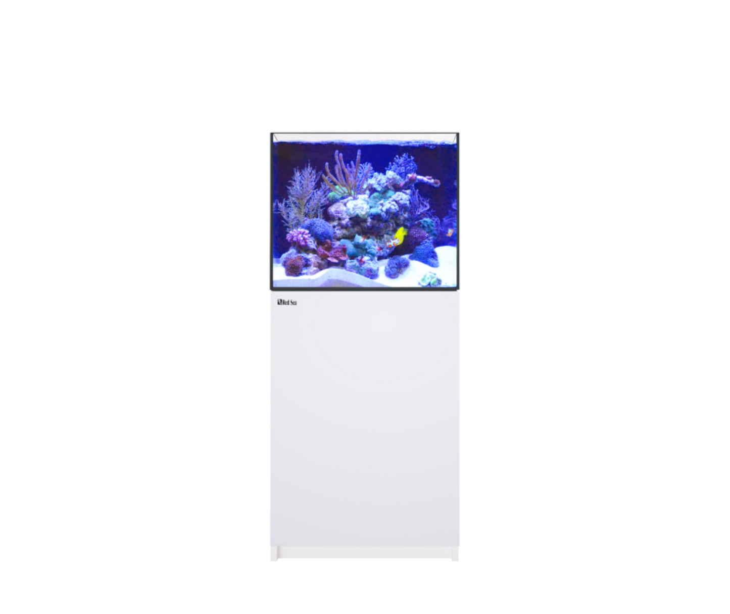 REEFER MAX 200 G3 (42 Gallon) - Drop Ship