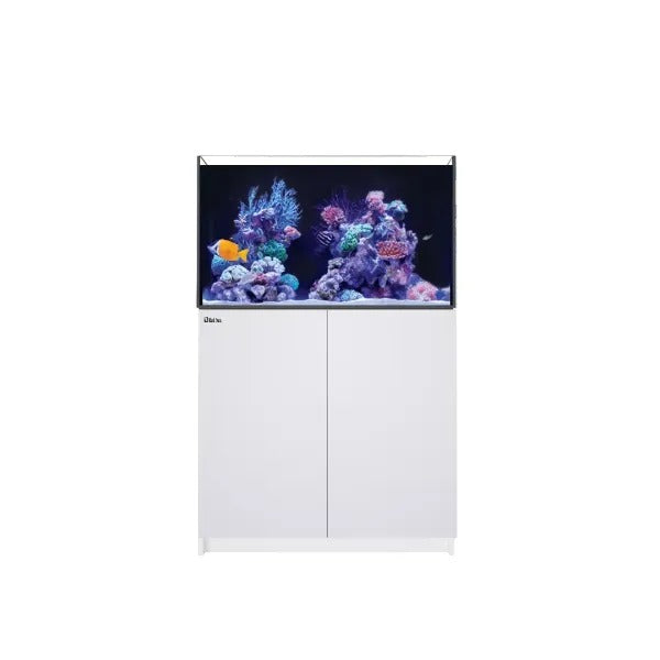 Drop Ticket Reefer REEFER 250 G3 (54 Gallon) - Drop Ship – Lush Corals