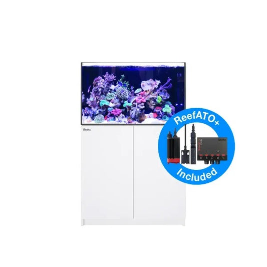 REEFER 300 G2+ (65 Gallon)