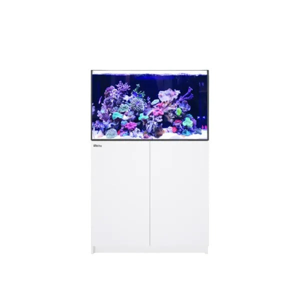 REEFER 300 G2+ (65 Gallon) - Drop Ship