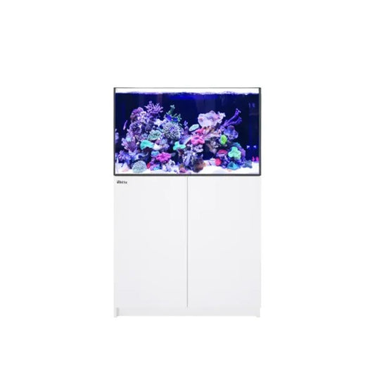 REEFER 300 G3 (65 Gallon)