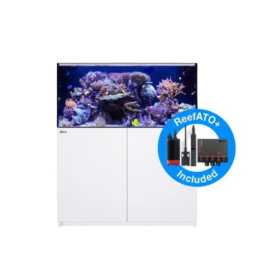 REEFER 425 G2+ (91 Gallon)