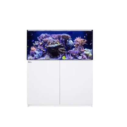 REEFER 425 G2+ (91 Gallon)