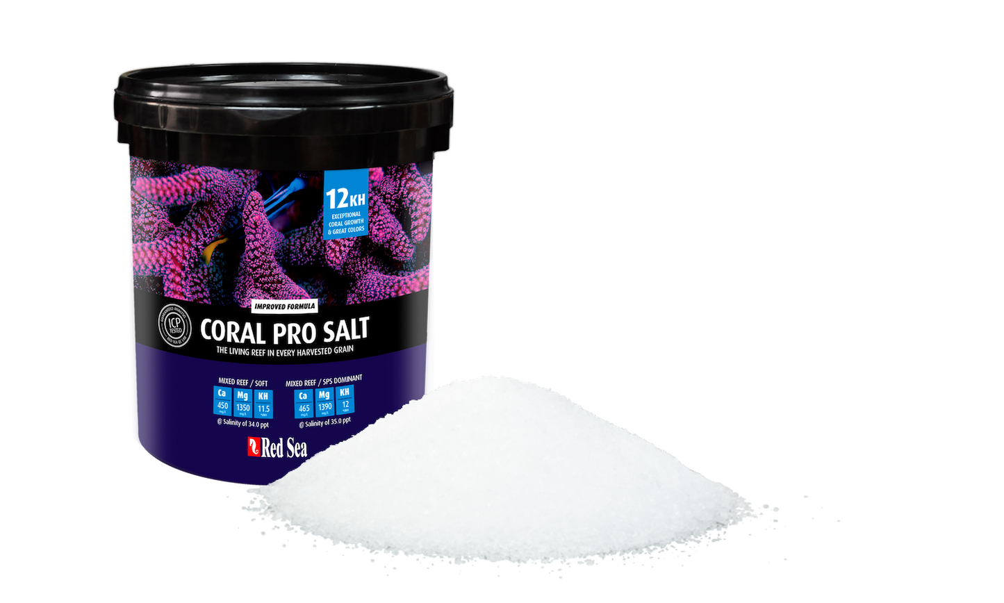 Coral Pro Salt
