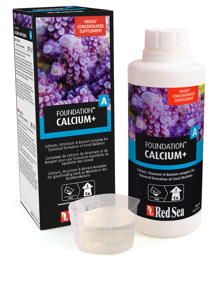 Calcium+ Foundation A