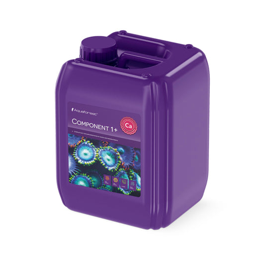 Component 1+ (5L)