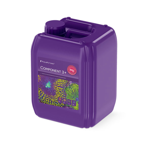 Component 3+ (5L)