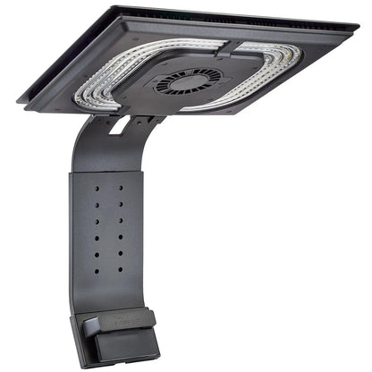 Ethereal Infinite E8-230 LED Light Fixture