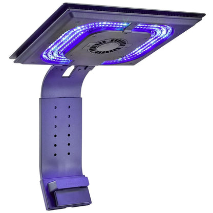 Ethereal Infinite E8-230 LED Light Fixture