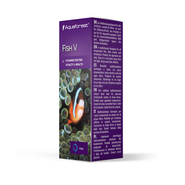 Fish V – Lush Corals