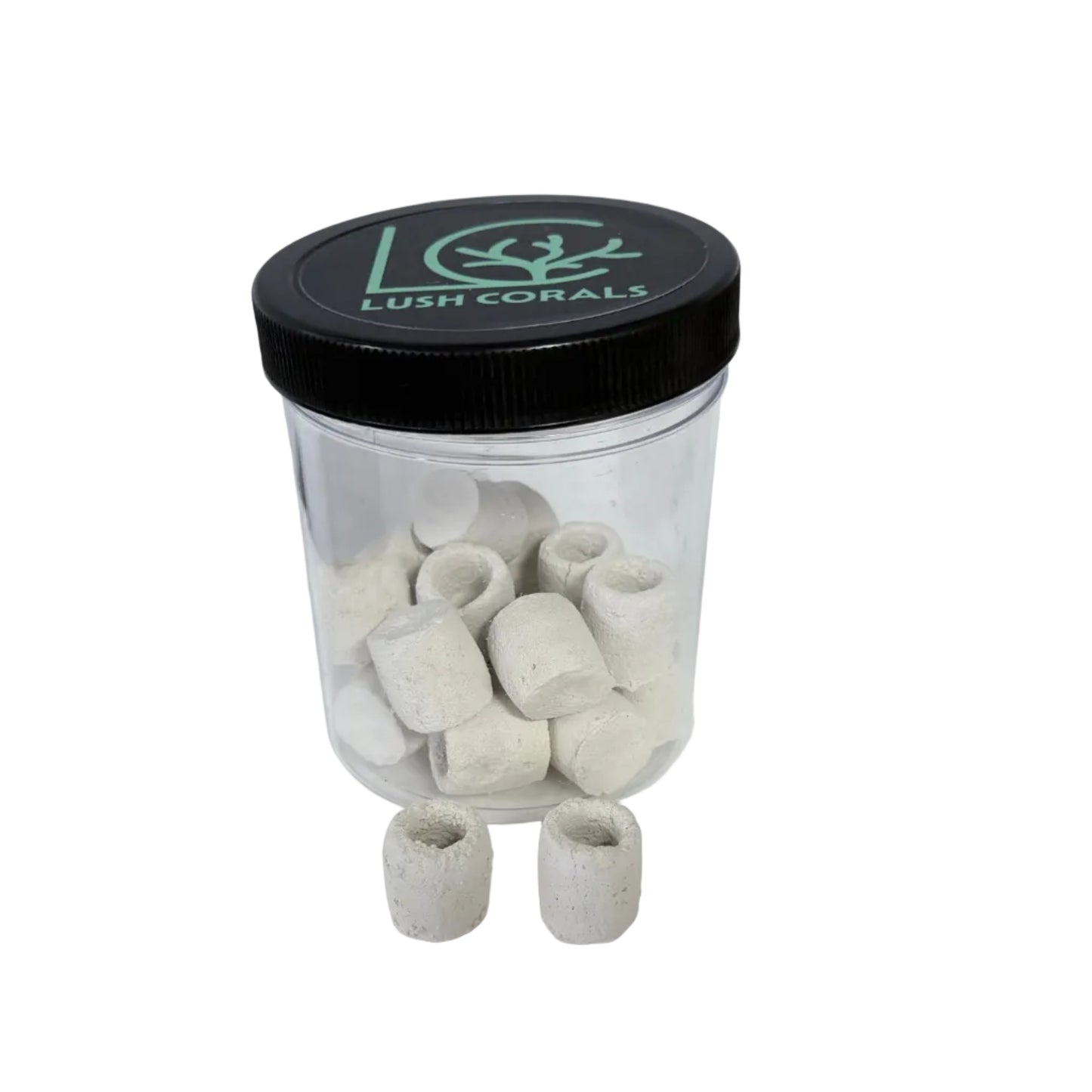 Lush Corals Frag Seat Set – 20 Count