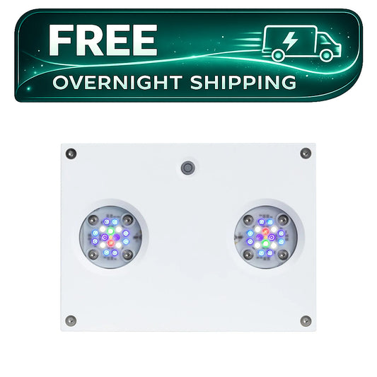Hydra 32 HD LED Reef Light - White Body