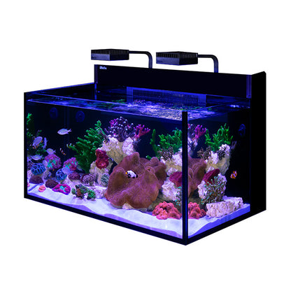 MAX NANO G2 XXL