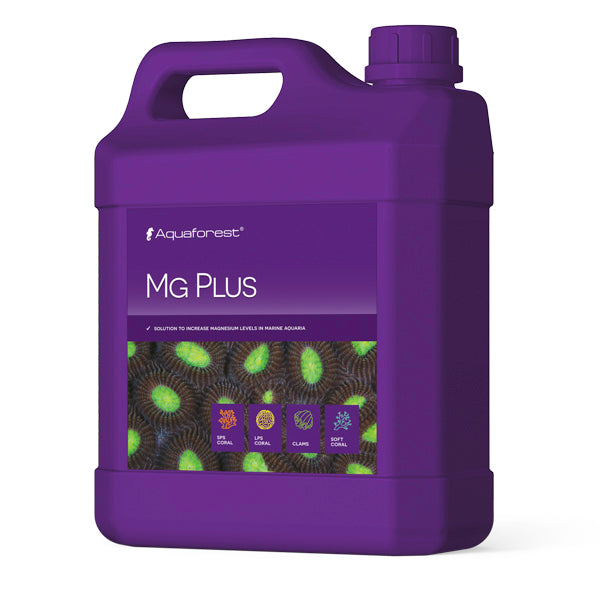 Mg Plus