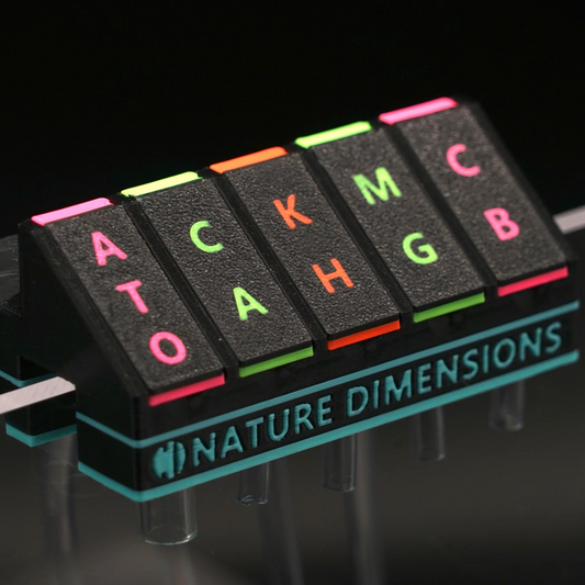 N-Neon Tubing Organizer