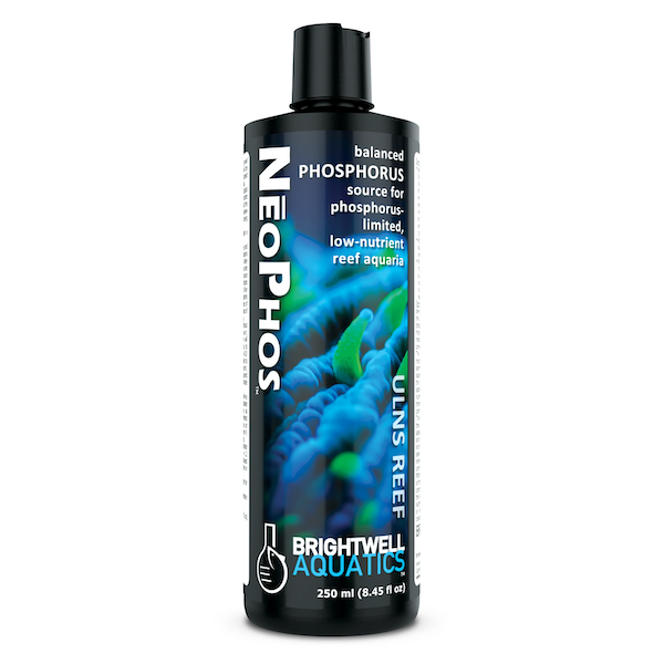 NeoPhos – Lush Corals