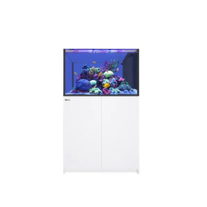REEFER Peninsula 350 G2+ (73 Gallon) - Drop Ship