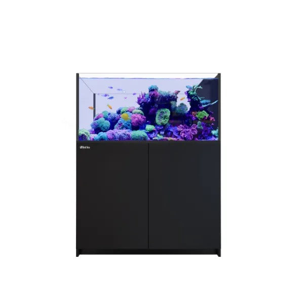 REEFER Peninsula 500 G2+ (109 Gallon) - Drop Ship