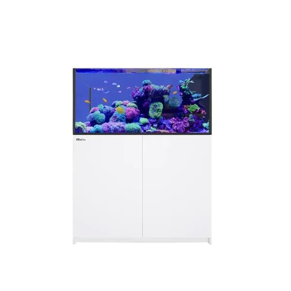 Drop Ticket Reefer REEFER Peninsula 500 G3 (109 Gallon) - Drop Ship – Lush Corals