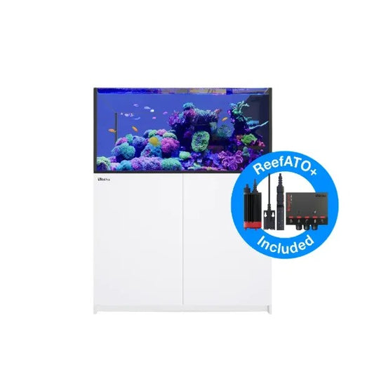 REEFER Peninsula 500 G2+ (109 Gallon) - Drop Ship