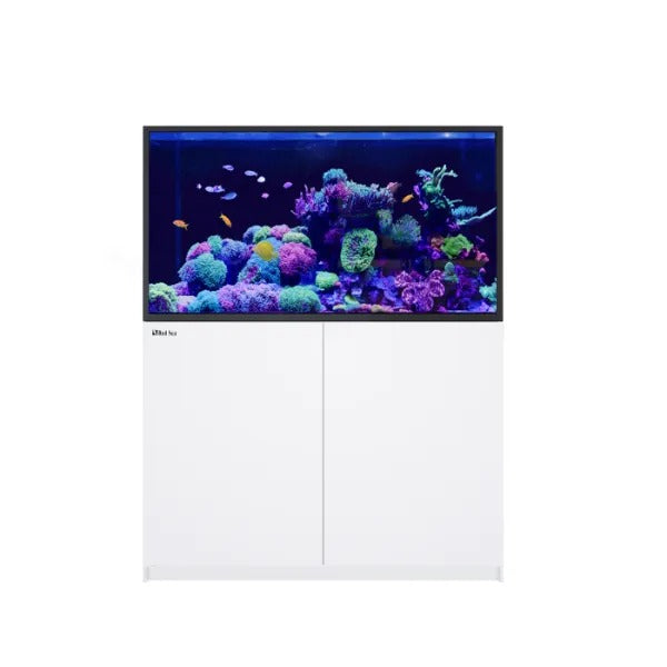 REEFER S-550 G2+ (118 Gallon)