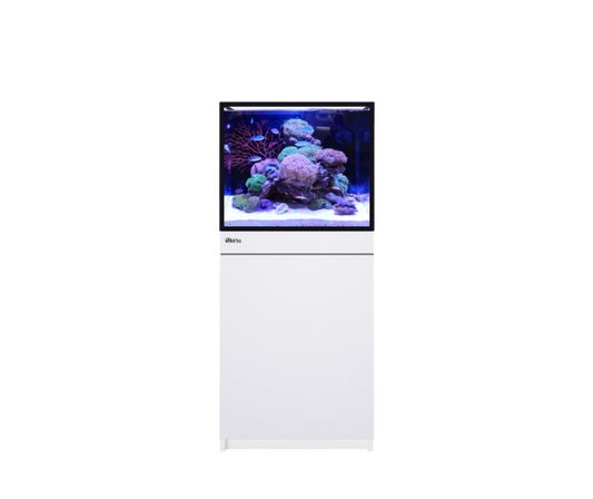 Red Sea REEF-FRAME 170 – 36 Gallons - Drop Ship