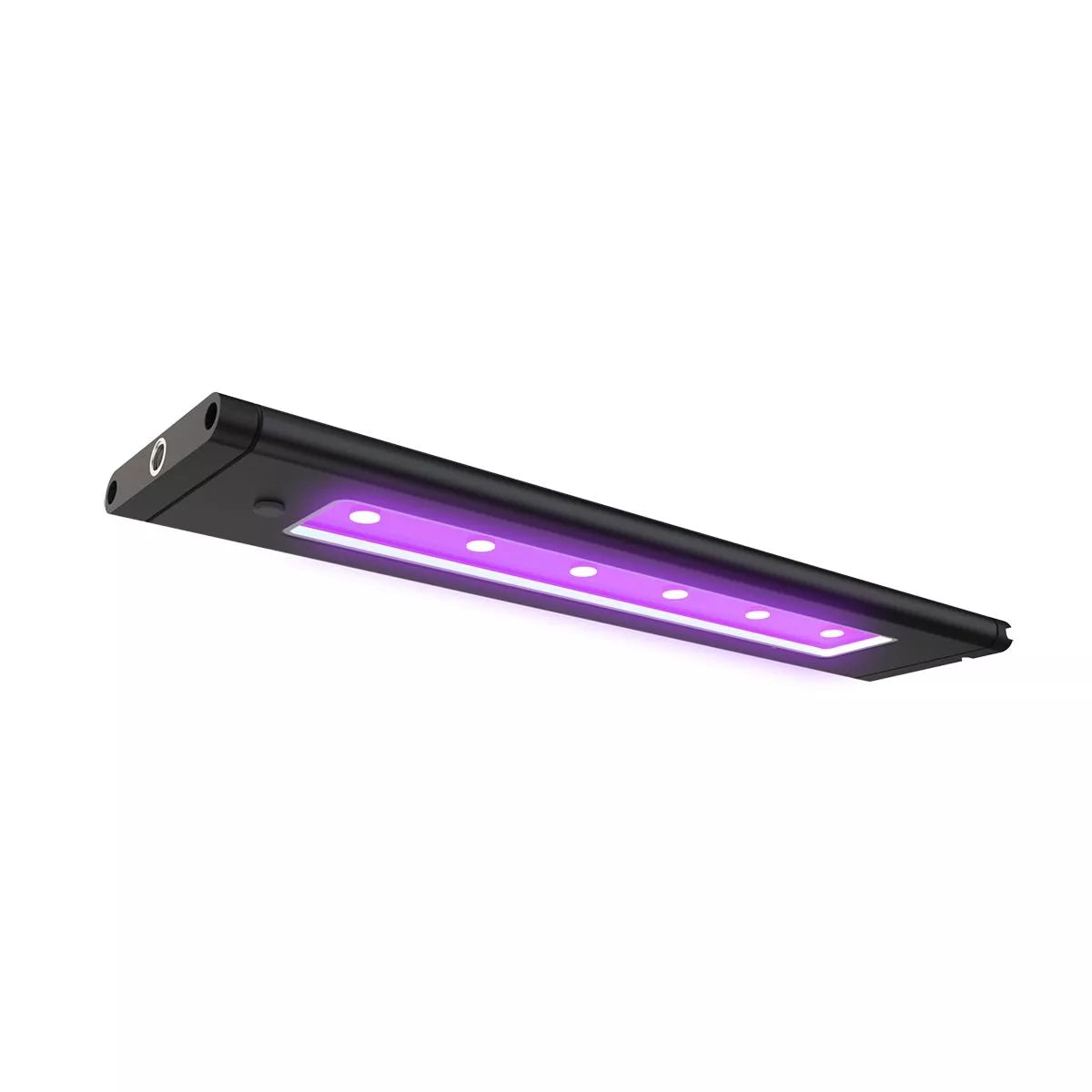Blade Led Blade Smart LED Strip - Coral Glow – Lush Corals