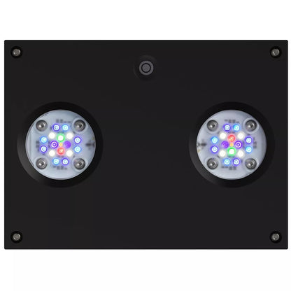 Hydra 32 HD LED Reef Light - Black Body