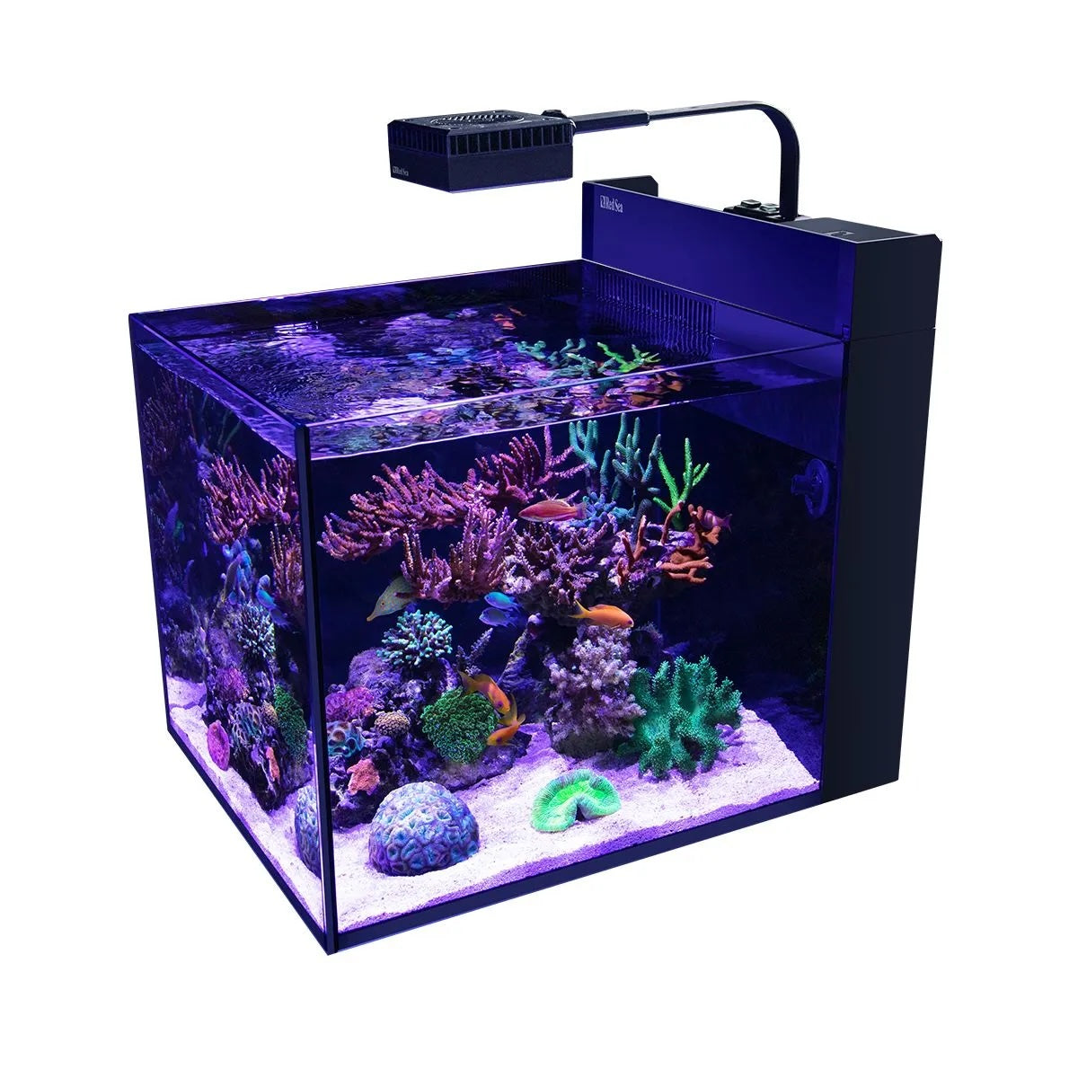 MAX NANO G2 Peninsula Aquarium (26 Gal)
