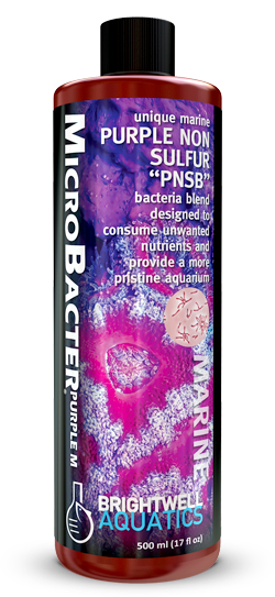 MicroBacter Purple