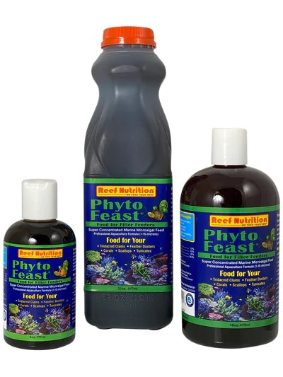 Phyto Feast Concentrate