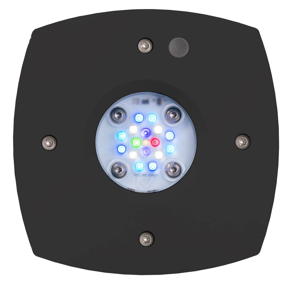 Prime 16 HD LED Reef Light - Black Body