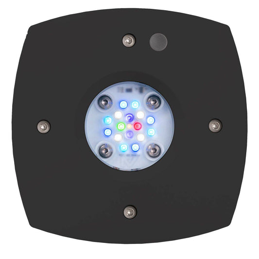 Prime 16 HD LED Reef Light - Black Body