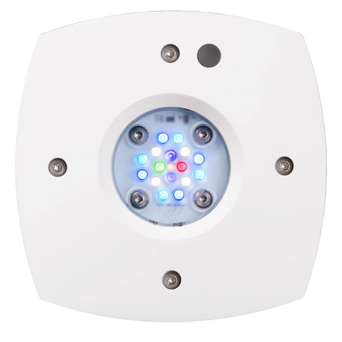 Prime 16 HD LED Reef Light - White Body